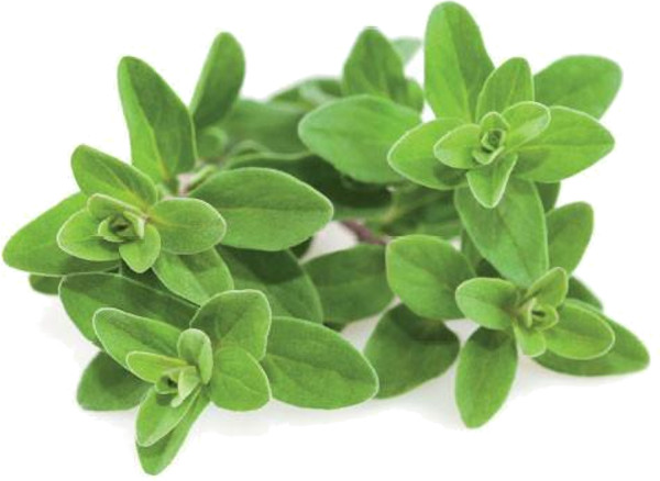 Набор картриджей для умного сада Click and Grow Refill 3-Pack Майоран (Marjoram)