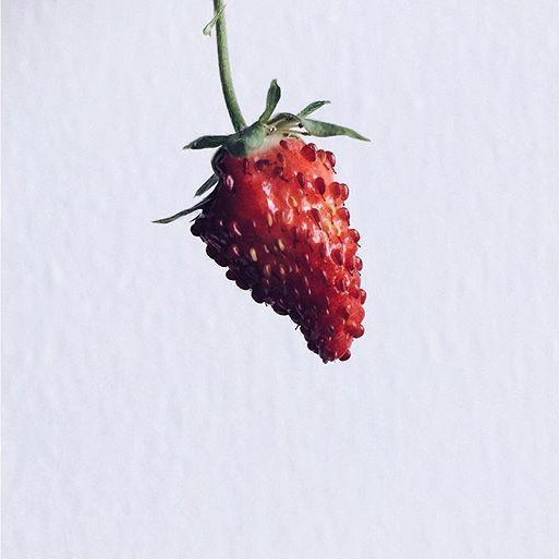 Набор картриджей для умного сада Click and Grow Refill 3-Pack Земляника (Wild Strawberry)
