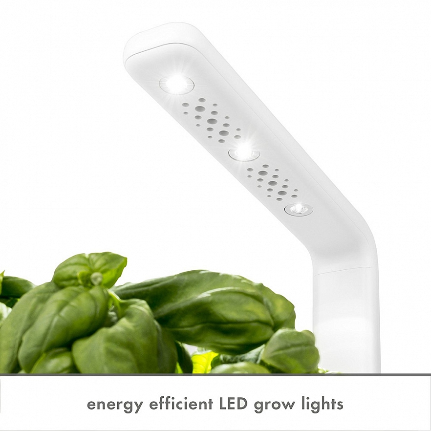 Умный сад Click and Grow Smart Garden 3 Базилик / Томаты Черри / Перец Чили (чёрная крышка)