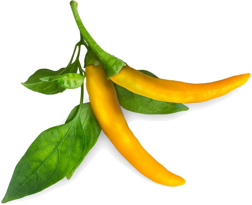 Набор картриджей для умного сада Click and Grow Refill 3-Pack Жёлтый Перец Чили (Yellow Chili Pepper)