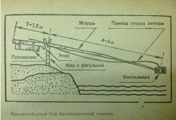 Твиттер «АйКейсес» ‏@iCases_ru