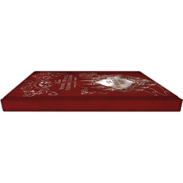 Записная книжка Harry Potter A5 Notebook Marauder's Map X4 ABYNOT032