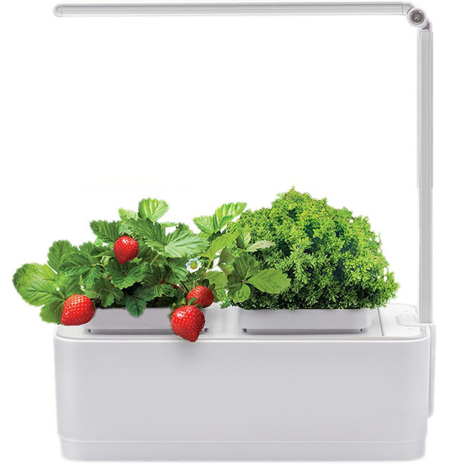 iGarden LED Назад К Истокам Смарт-сад с подсветкой белый (IGL2021)