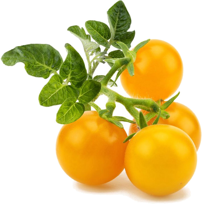 Набор картриджей для умного сада Click and Grow Refill 3-Pack Жёлтые Томаты Черри (Yellow Mini Tomato)