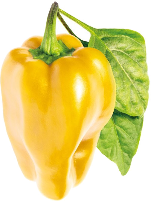Набор картриджей для умного сада Click and Grow Refill 3-Pack Жёлтый сладкий перец (Yellow Sweet Pepper)