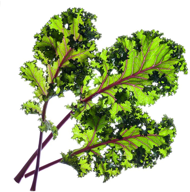 Набор картриджей для умного сада Click and Grow Refill 3-Pack Красная капуста Кале (Red Kale)
