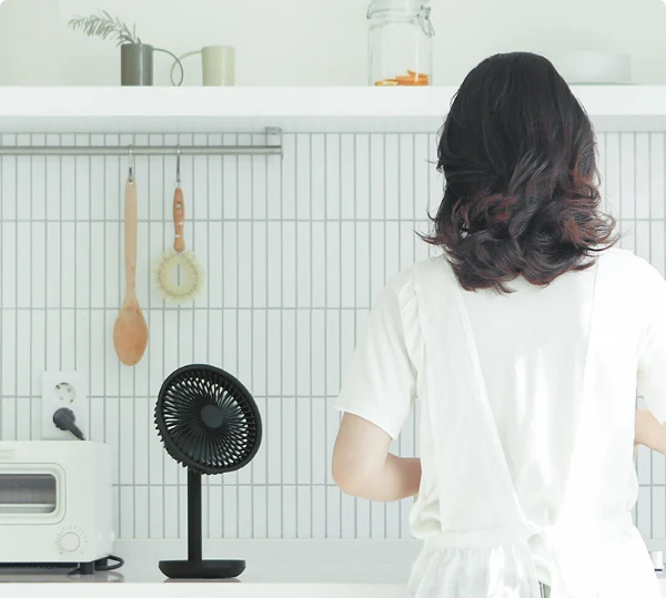 Настольный вентилятор SOLOVE table-top rotary fan 4000mAh 3 Speed Type-C Чёрный (F5 Black RUS)