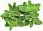 Набор картриджей для умного сада Click and Grow Refill 3-Pack Майоран (Marjoram)