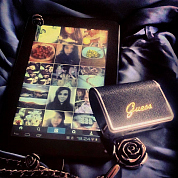 #icasesru, #guess