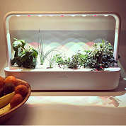 #clickandgrow, #вегаджет, #smartpot, #herbalgarden, #умныйсад, #смартпот, #кликэндгроу, #smartgarden