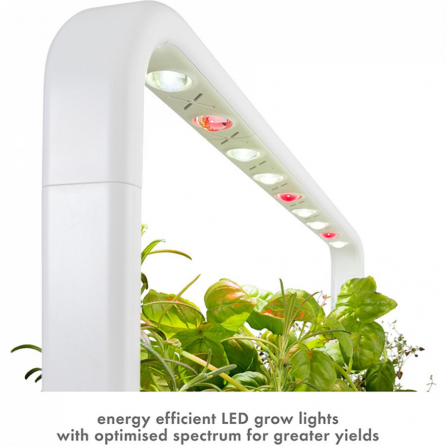 Умный сад Click and Grow Smart Garden 9 Помидоры Черри, Базилик, Зелёный Салат (чёрная крышка)