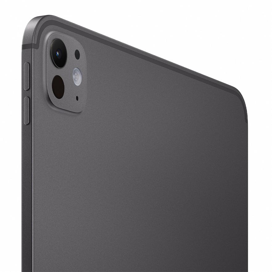 Apple iPad Pro 11" (M4, 2024) Wi-Fi + Cellular 256 ГБ Space Black Чёрный космос