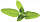 Набор картриджей для умного сада Click and Grow Refill 3-Pack Шалфей (Garden Sage)