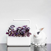 #clickandgrow, #вегаджет, #smartpot, #herbalgarden, #умныйсад, #смартпот, #кликэндгроу