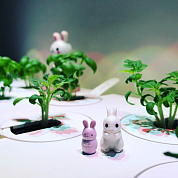 #clickandgrow, #вегаджет, #smartpot, #herbalgarden, #умныйсад, #смартпот, #кликэндгроу, #smartgarden
