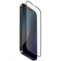 Защитное стекло Uniq OPTIX Matte Clear/Black (+installer) для iPhone 16