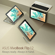 #icasesru, #asus