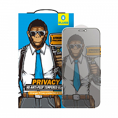 Приватное защитное стекло Blueo 2.5D Silk full cover Anti-peep 0.26 mm для iPhone 12 Pro Max с черной рамкой (NPB14-6.7)
