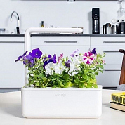 #clickandgrow, #вегаджет, #smartpot, #herbalgarden, #умныйсад, #смартпот, #кликэндгроу