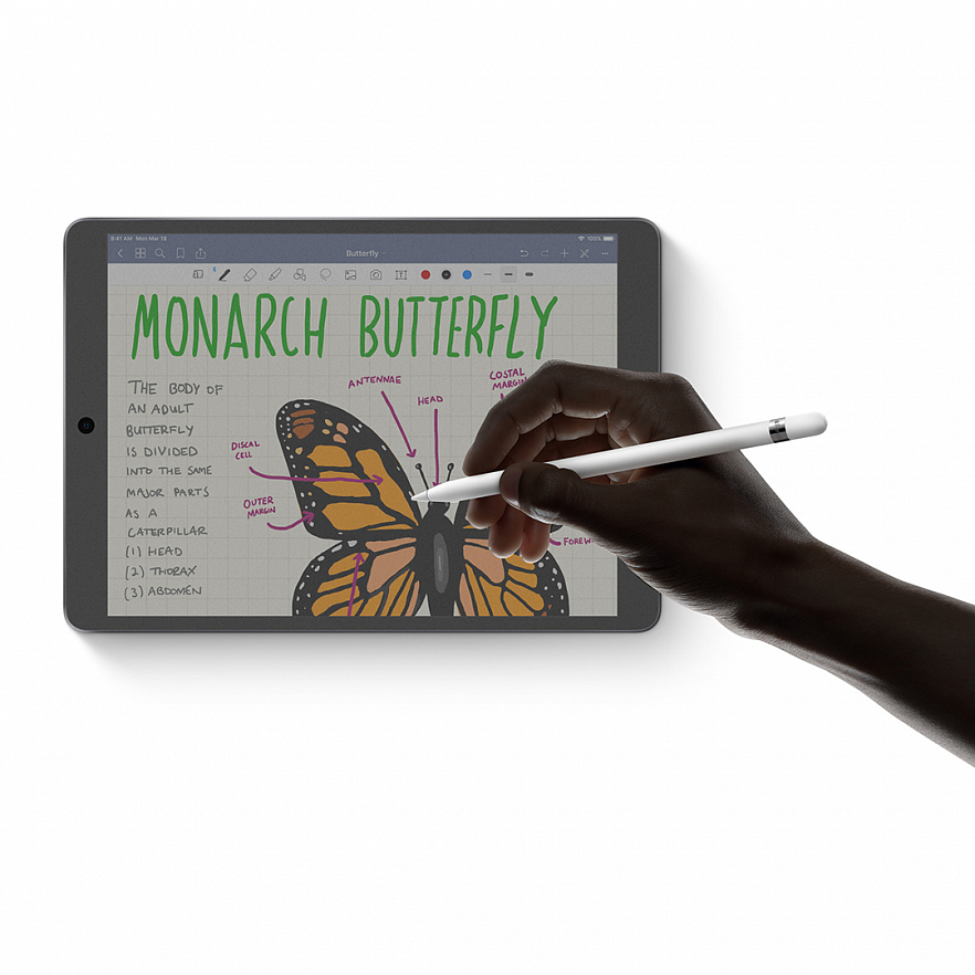 Защитная плёнка SwitchEasy PaperLike для iPad 7.9 (mini)