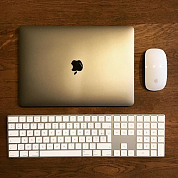 #icasesru, #magicmouse2