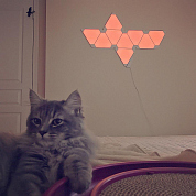 #icasesru, #nanoleaf