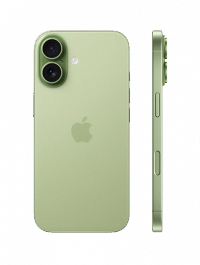 Смартфон Apple iPhone 17 - 256Gb Sage (Esim)