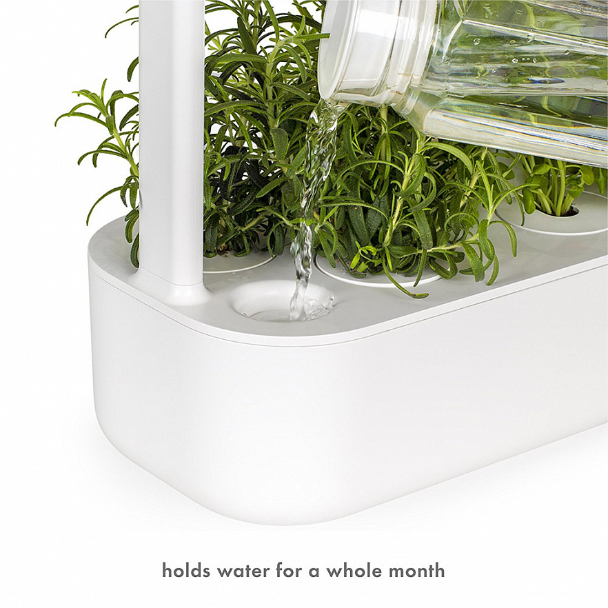 Умный сад Click and Grow Smart Garden 9 Помидоры Черри, Базилик, Зелёный Салат (чёрная крышка)