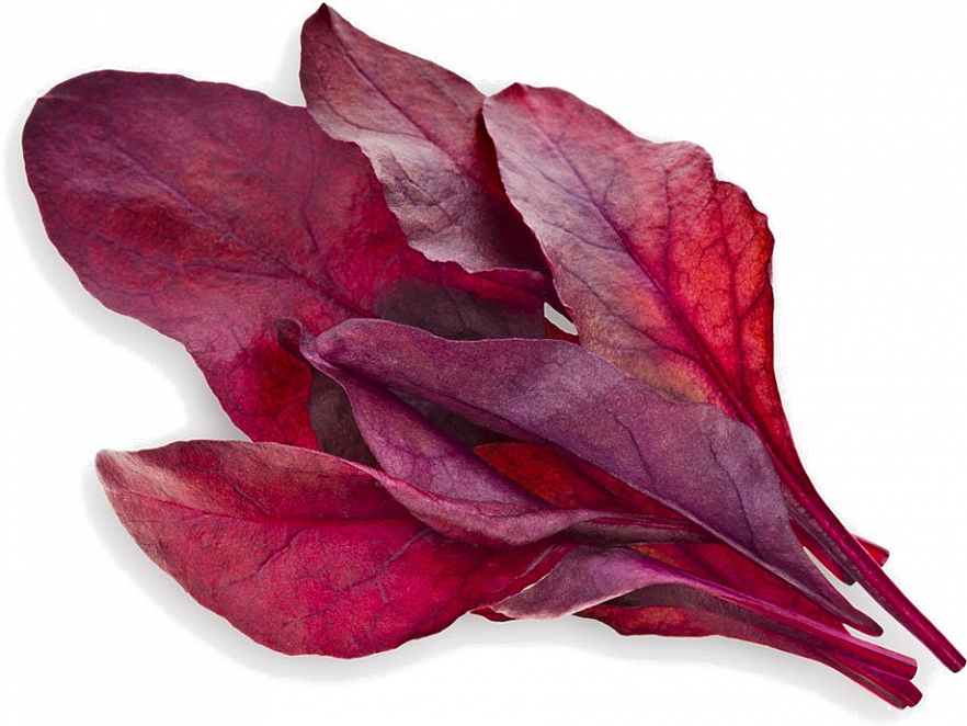 Набор картриджей для умного сада Click and Grow Refill 3-Pack Красный Мангольд (Red Leaf Beet)