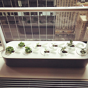 #clickandgrow, #вегаджет, #smartpot, #herbalgarden, #умныйсад, #смартпот, #кликэндгроу, #smartgarden
