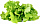 Набор картриджей для умного сада Click and Grow Refill 3-Pack Зелёный Салат (Green Lettuce)