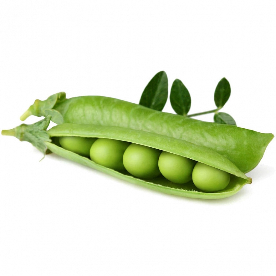 Набор картриджей для умного сада Click and Grow Refill 3-Pack Карликовый горох (Dwarf Pea)