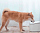 Умная автоматическая поилка Xiaomi Smart Pet Fountain