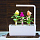 Набор картриджей для умного сада Click and Grow Refill 3-Pack Целозия (Cockscomb)