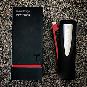 #icasesru, #teslapowerbank