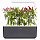 Умный сад Click and Grow Smart Garden 3 Перец Чили (чёрная крышка)
