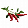 Набор картриджей для умного сада Click and Grow Refill 3-Pack Перец Чили (Chili Pepper)