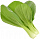 Набор картриджей для умного сада Click and Grow Refill 3-Pack Капуста Пак Чой (Pak Choi)