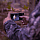 Мобильный тепловизор Seek Thermal Compact XR для iOS