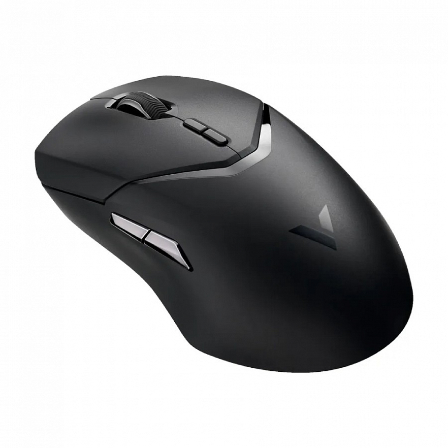 Беспроводная/проводная игровая мышь RAPOO VT9Pro черная