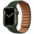 Ремешок EcoLeather Link для Apple Watch 42/44/45 мм тёмно-зелёный (Sequoia Green)