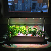 #clickandgrow, #вегаджет, #smartpot, #herbalgarden, #умныйсад, #смартпот, #кликэндгроу, #smartgarden