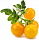 Набор картриджей для умного сада Click and Grow Refill 3-Pack Жёлтые Томаты Черри (Yellow Mini Tomato)