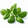 Набор картриджей для умного сада Click and Grow Refill 3-Pack Базилик (Basil)