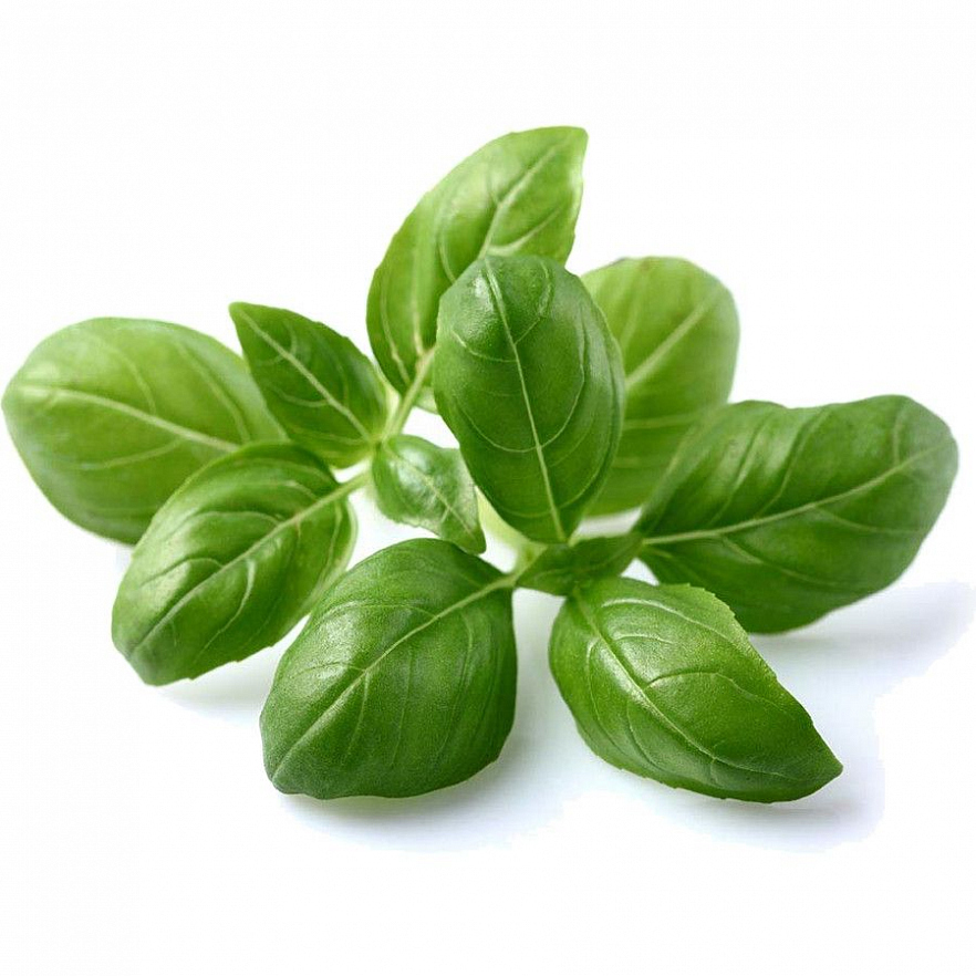 Набор картриджей для умного сада Click and Grow Refill 3-Pack Базилик (Basil)