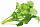 Набор картриджей для умного сада Click and Grow Refill 3-Pack Кресс Салат (Garden Cress)