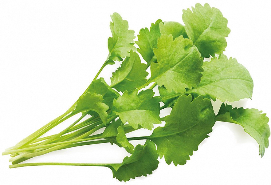 Набор картриджей для умного сада Click and Grow Refill 3-Pack Кресс Салат (Garden Cress)