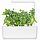 Набор картриджей для умного сада Click and Grow Refill 3-Pack Карликовый горох (Dwarf Pea)