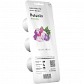 Набор картриджей для умного сада Click and Grow Refill 3-Pack Петуния (Petunia)