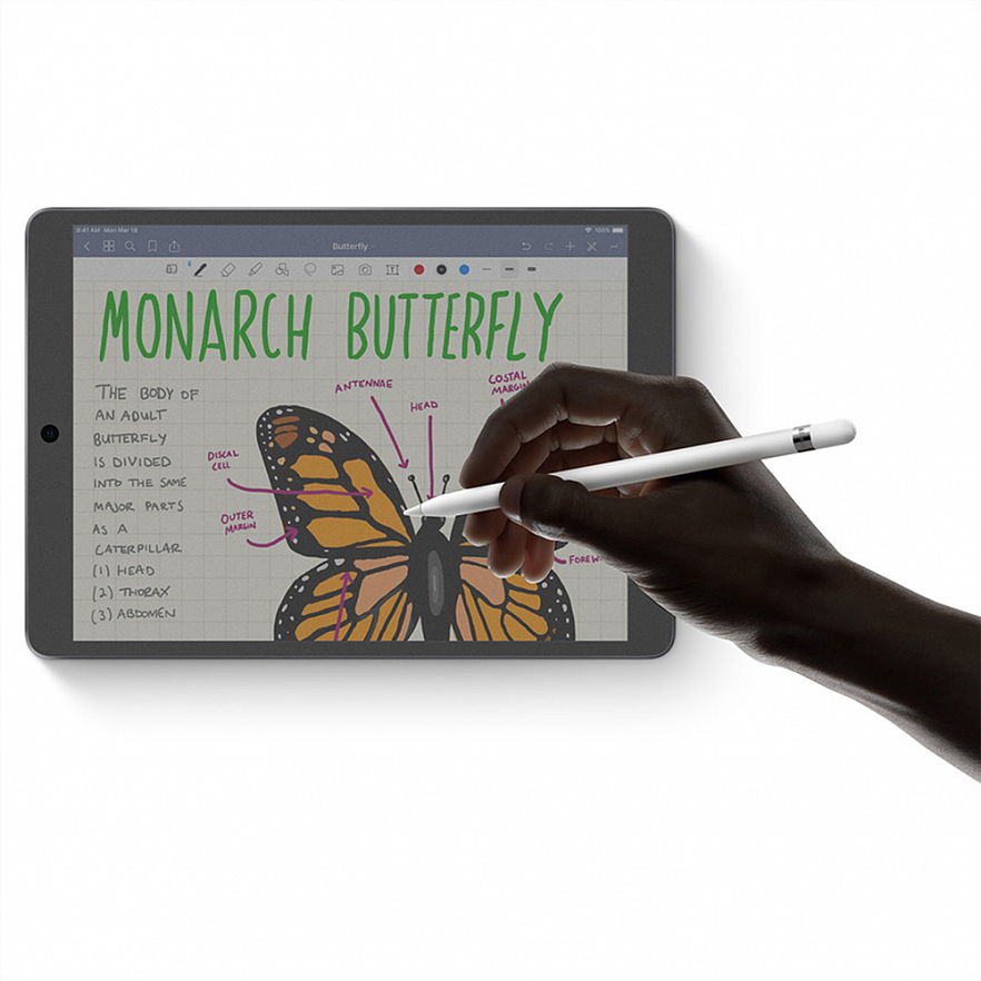 Защитная плёнка SwitchEasy PaperLike для iPad Pro/Air 10.5 (2019)